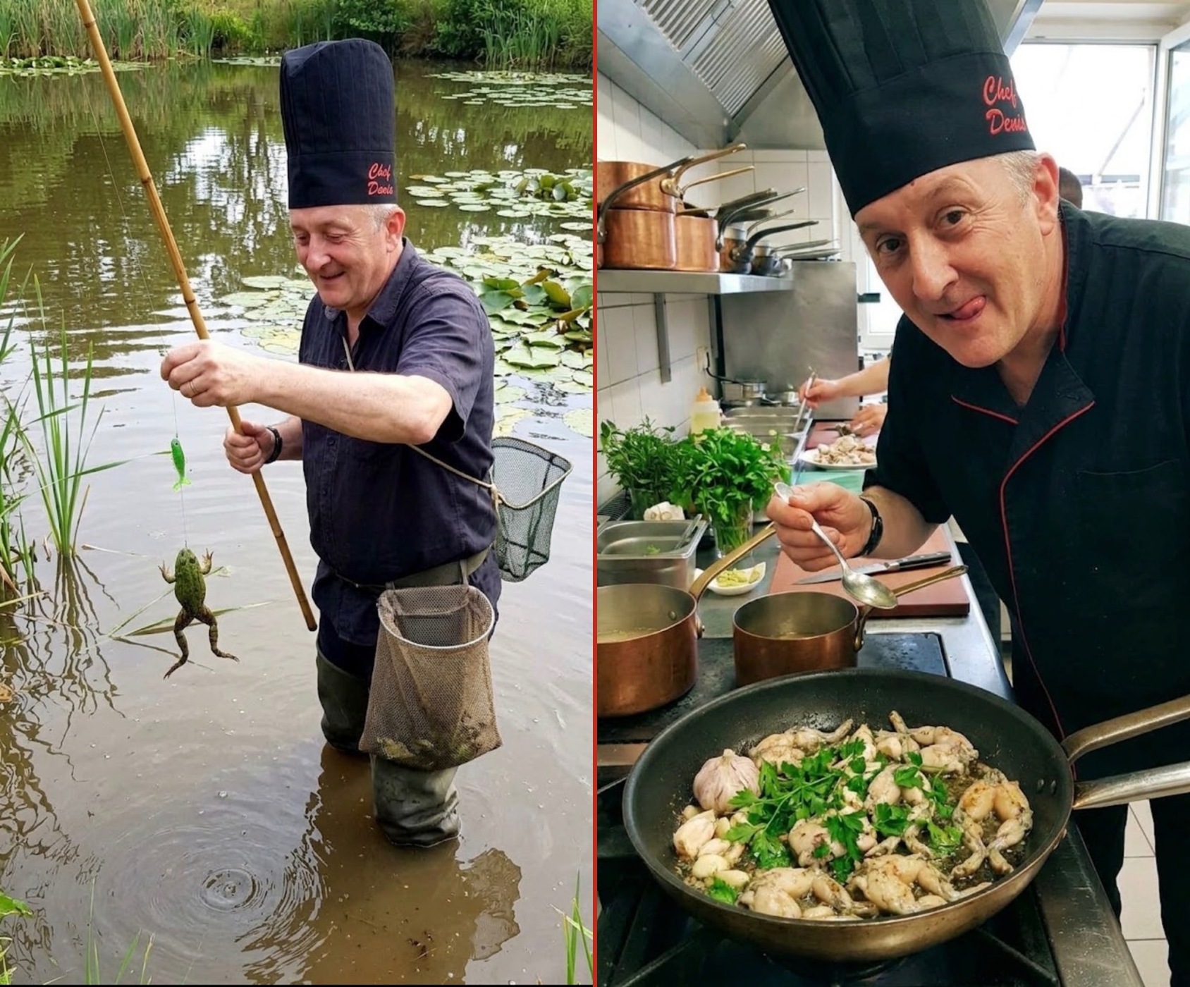 Deux clichés du chef Denis : à l'étang, une grenouille pendue au bout de sa canne à pêche, et en cuisine, ses cuisses de grenouilles à la persillade dans la poêle